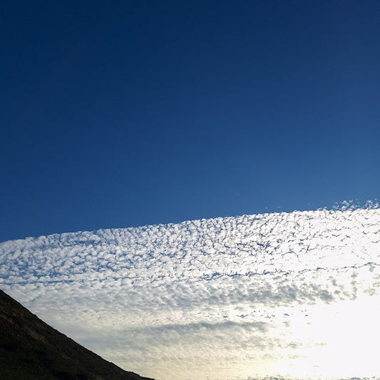 Bide a While | Field Notes