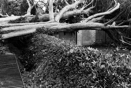 Storm Ciara | Date of Impact 8-9 February 2020
