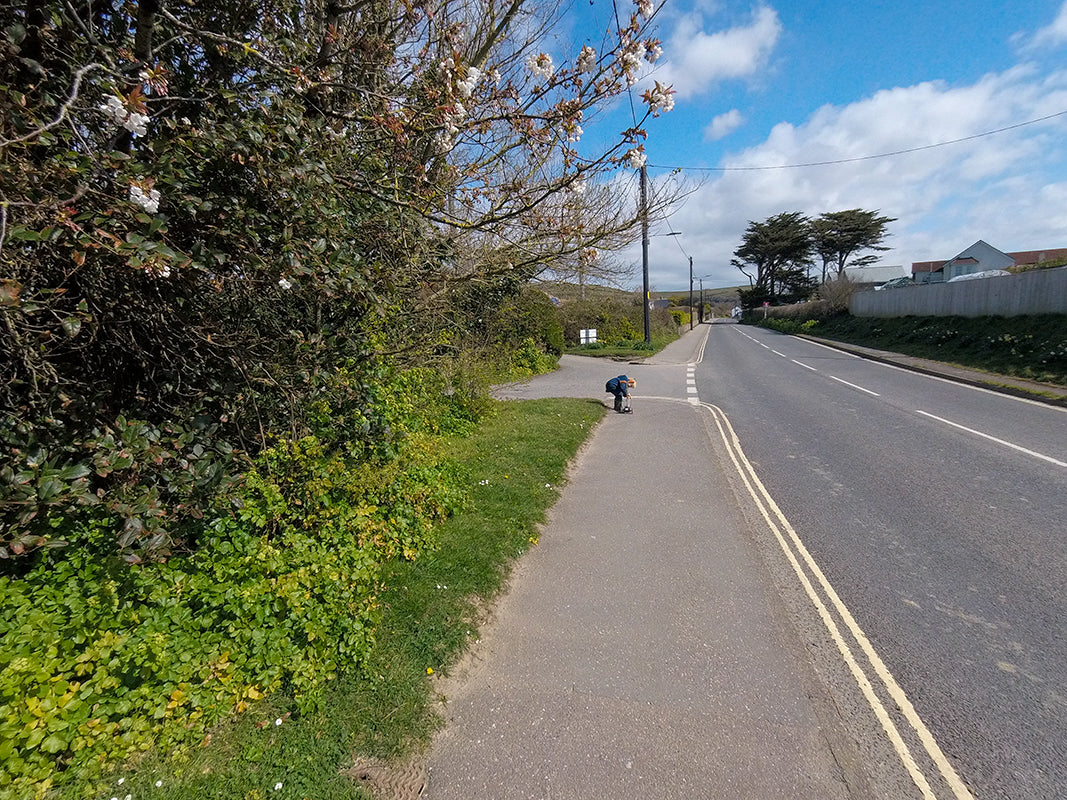 Day Eight