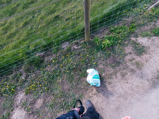 Day Nine